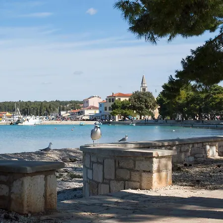 In - Istrien 8608 Appartement *