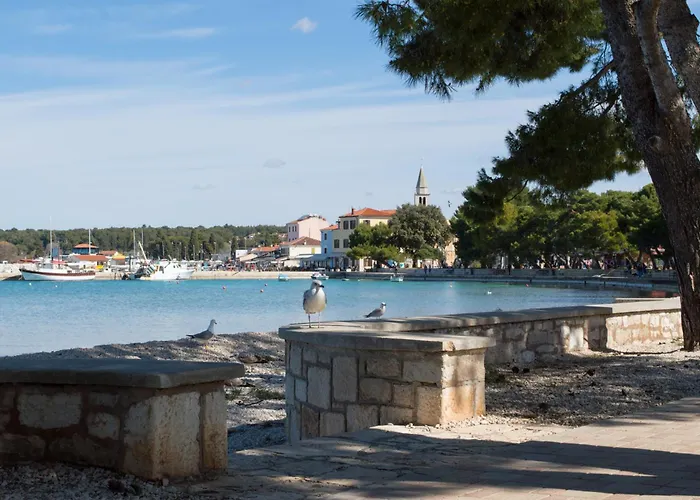 In - Istrien 8608 Appartement *